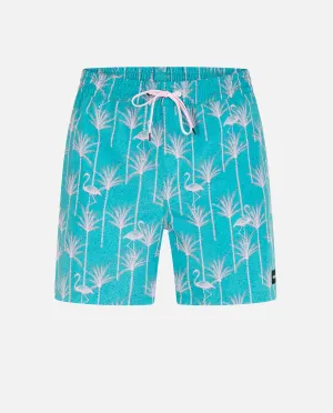 CANNONBALL VOLLEY 17" BOARDSHORT